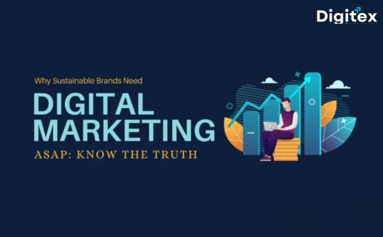 Why sustainable brands need digital marketing to grow online
